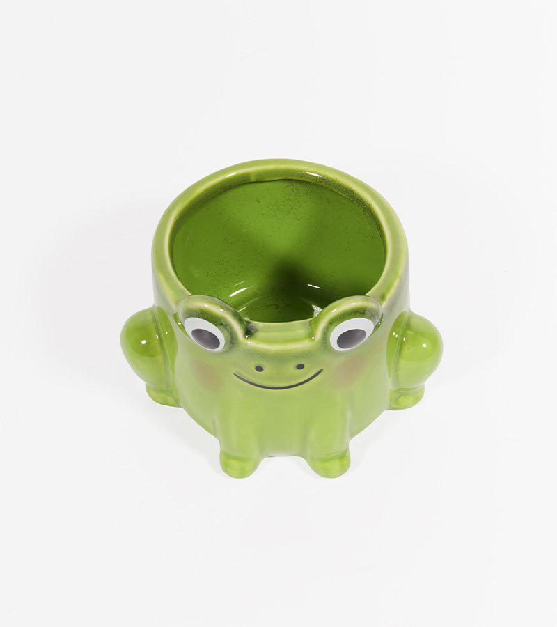 Pot à plante grenouille