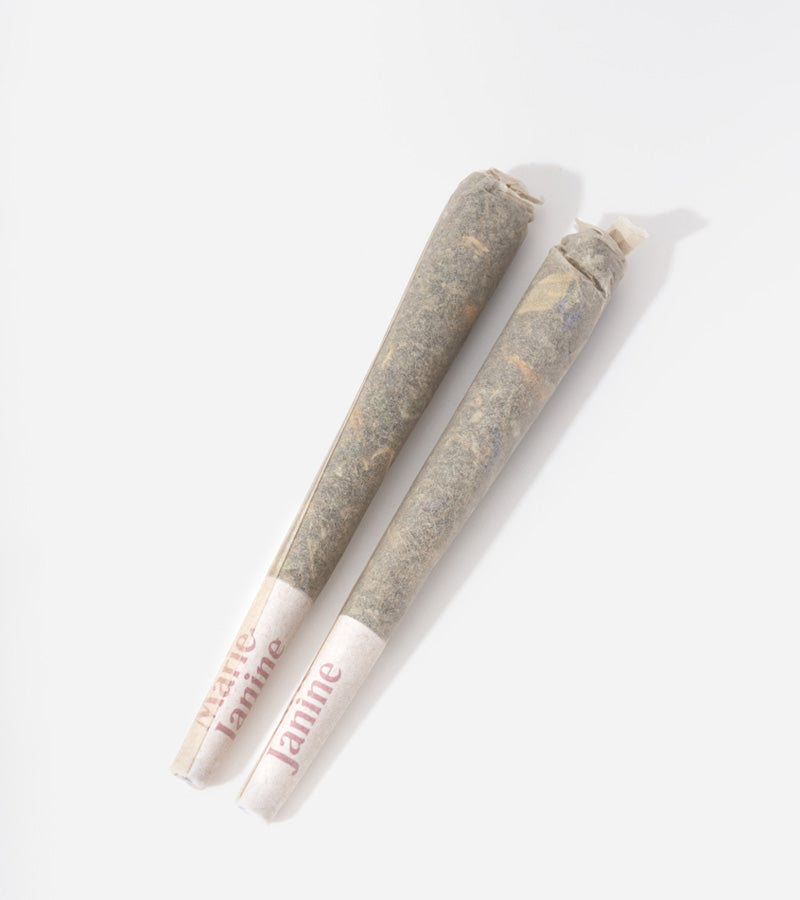 Pré-roll au CBD, pack de 2 Marie Janine