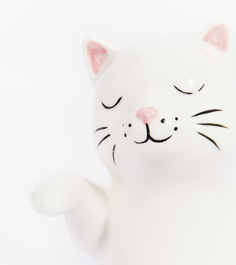 Arrosoir Chat