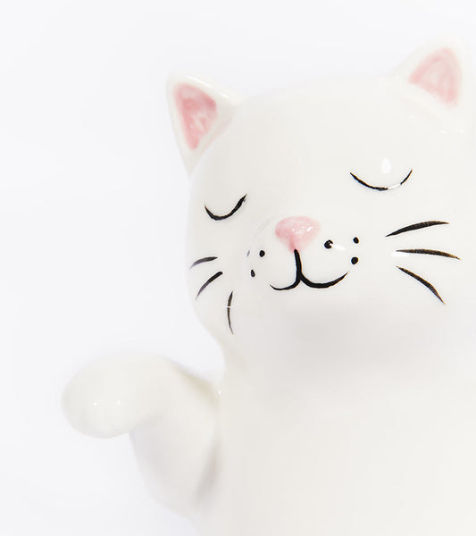Arrosoir Chat