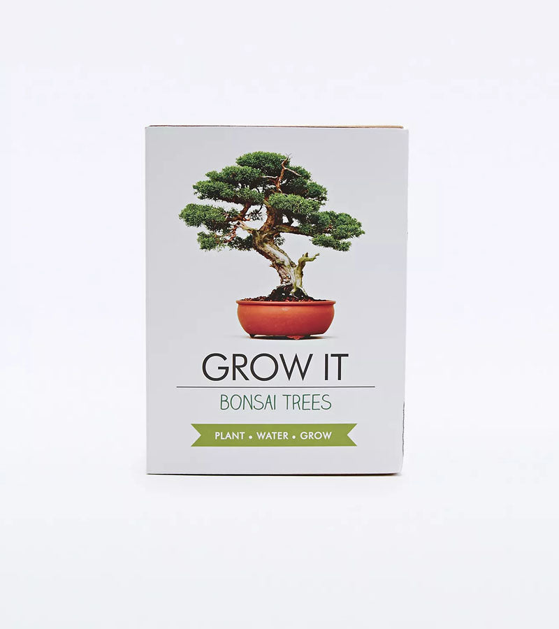 Kit de plantation pour bonsaï 