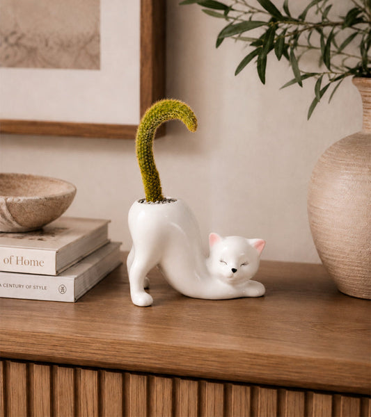 Cache-pot Chat Yoga