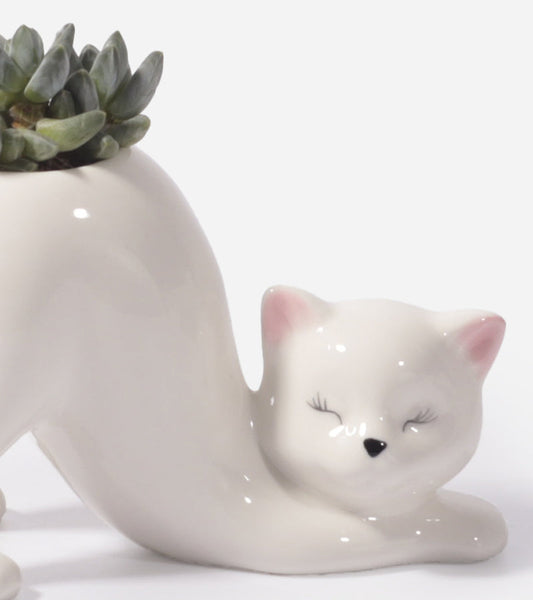 Cache-pot Chat Yoga