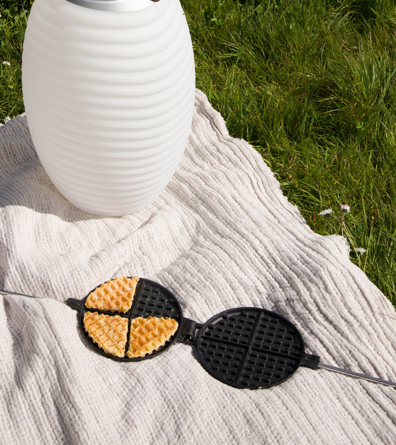Gaufrier pour barbecue