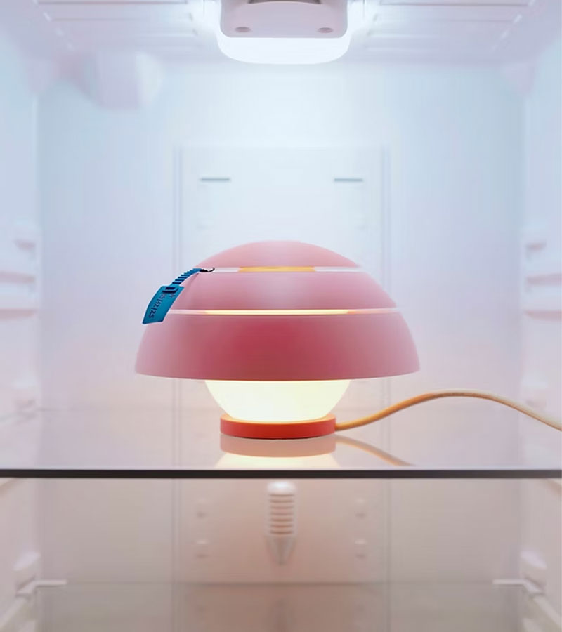 Lampe Guinda