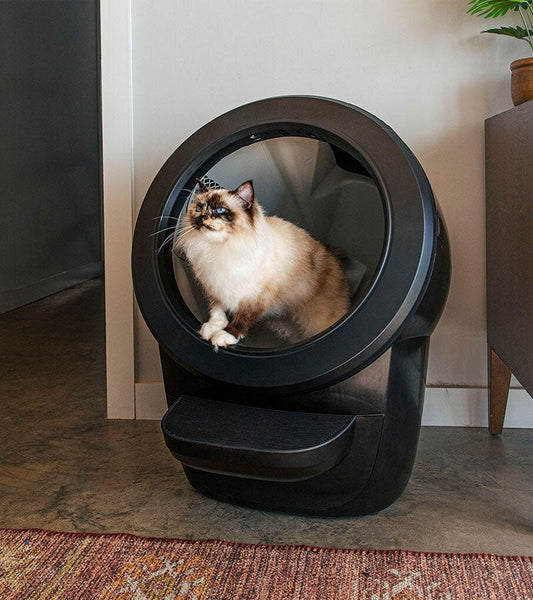 Litière autonettoyante - Litter-Robot 4