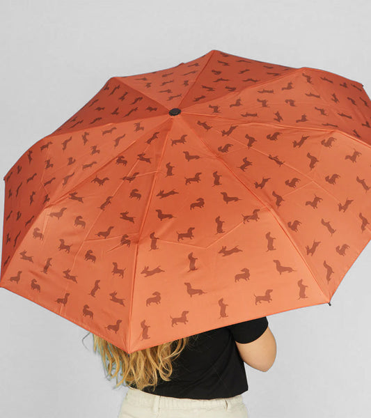 Parapluie Teckel