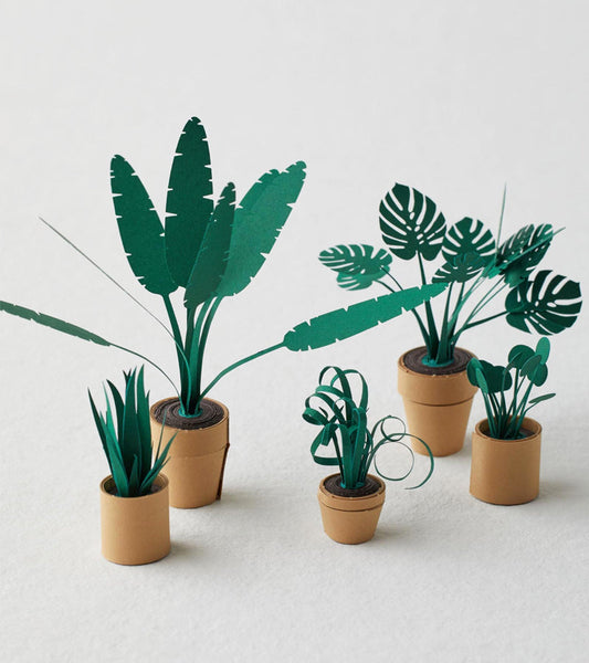 Plantes en papier DIY