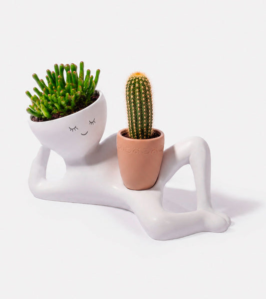 Pot à plante paresseux