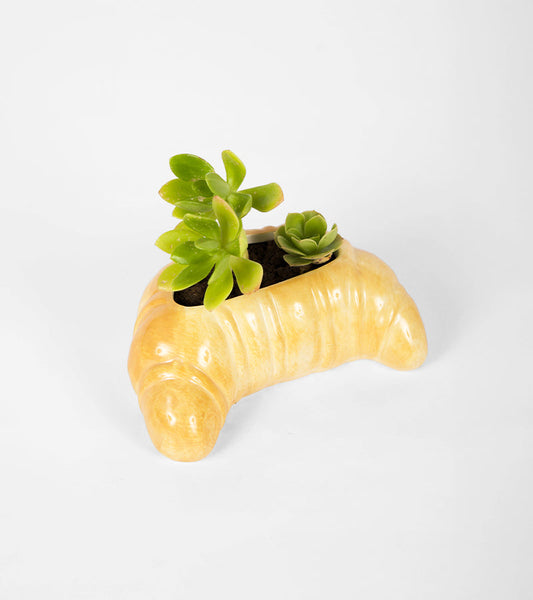 Pot à plante croissant