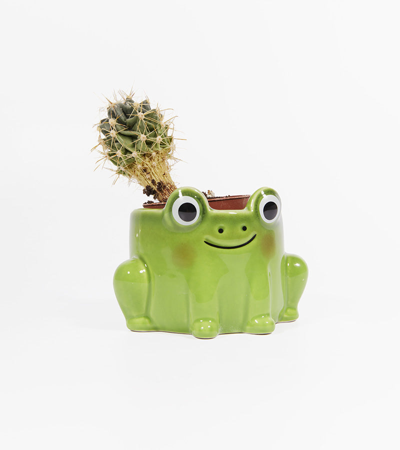 Pot à plante grenouille