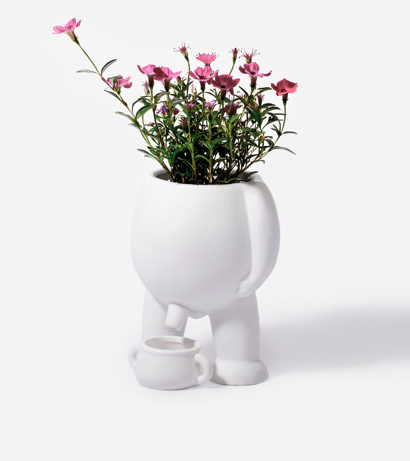 Pot à plante qui fait pipi