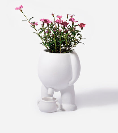 Pot à plante qui fait pipi