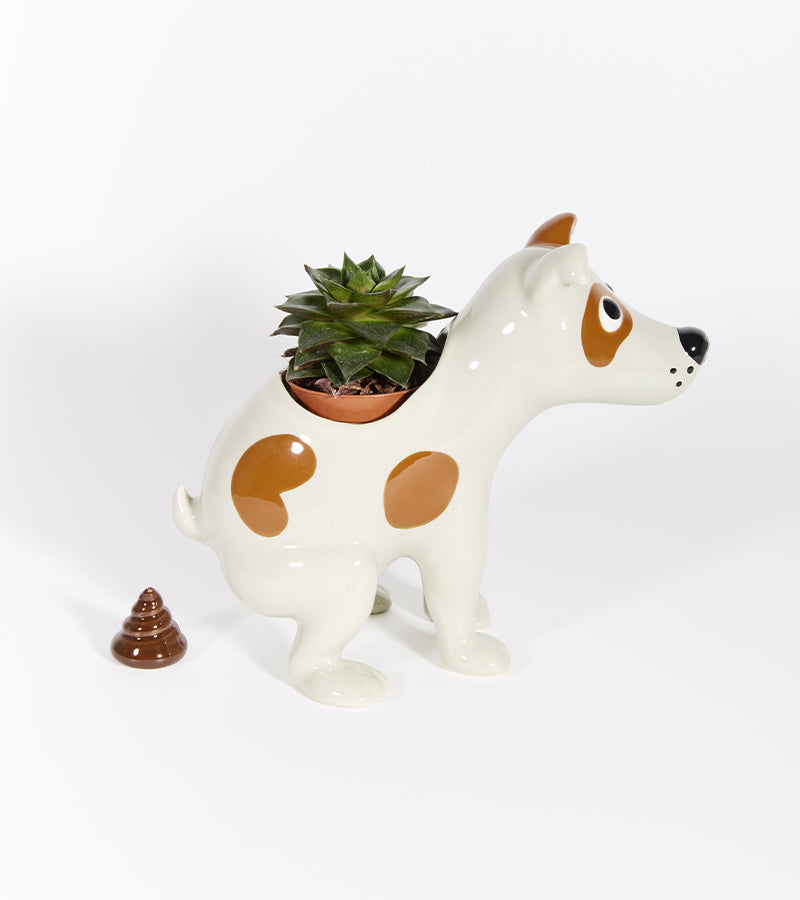 Cache-pot chien qui fait caca