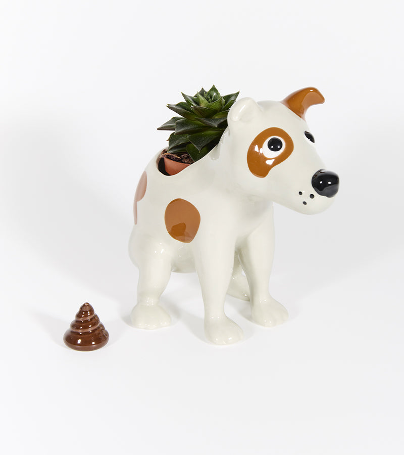 Cache-pot chien qui fait caca