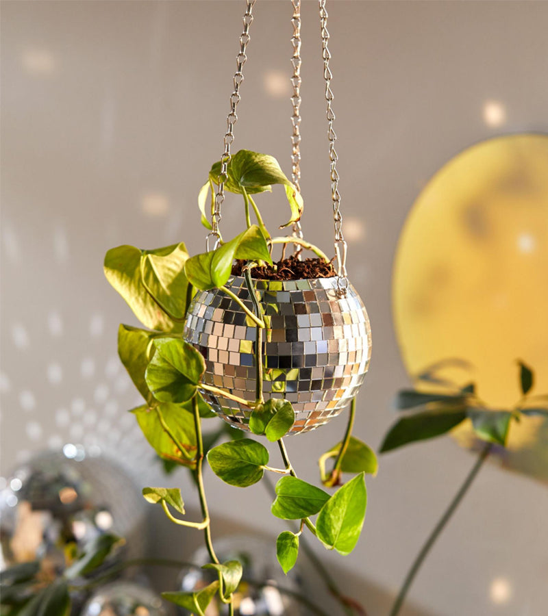 Pot de plantes disco boule à facettes 10cm  L'expressionist