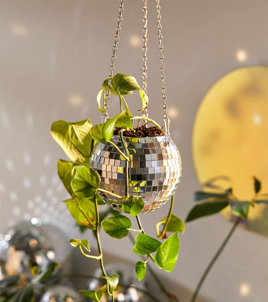 Pot de plantes disco boule à facettes 10cm  L'expressionist