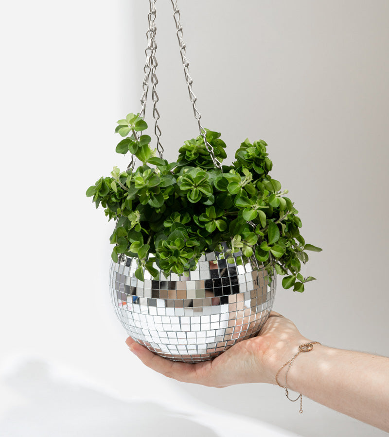 Pot de plantes disco boule à facettes 20cm  L'expressionist