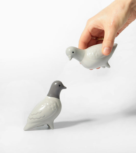 Salière et poivrière pigeons