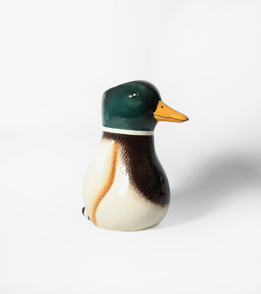 Vase canard colvert