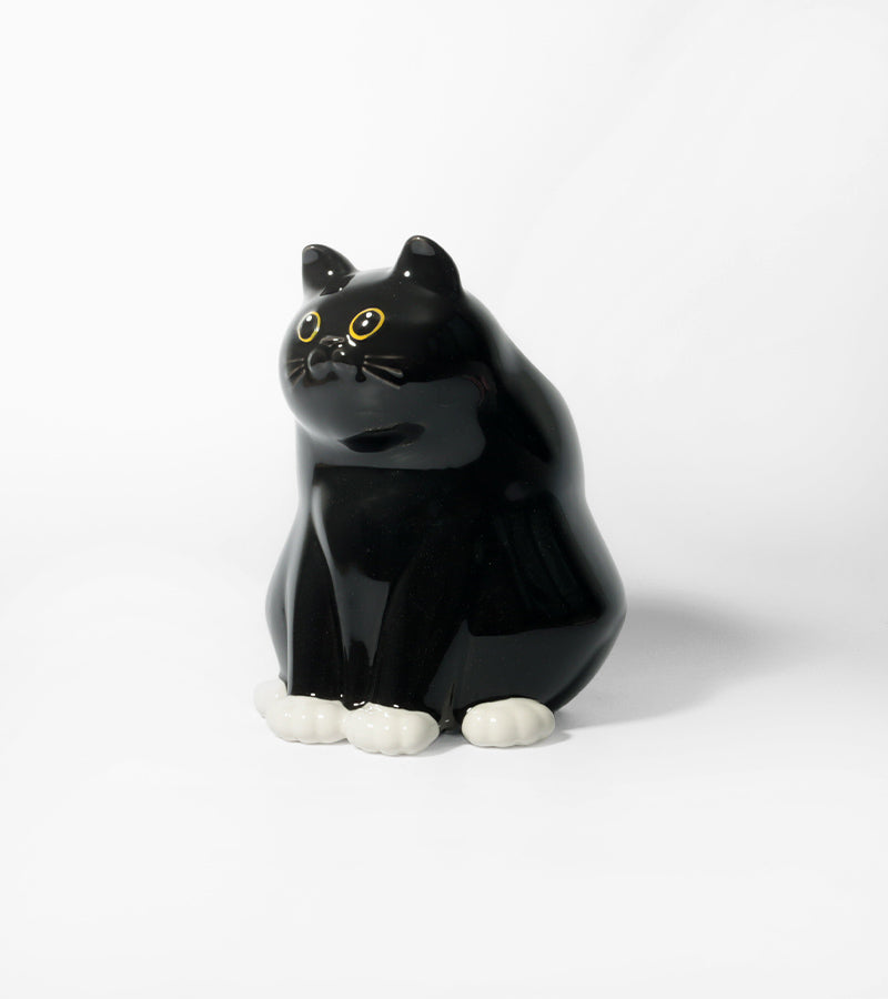 vase chat dodu