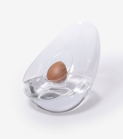 Vase pour noyau d'avocat
