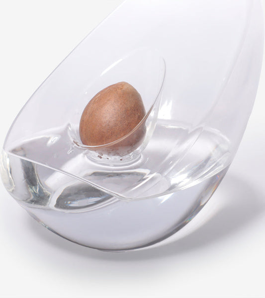 Vase pour noyau d'avocat